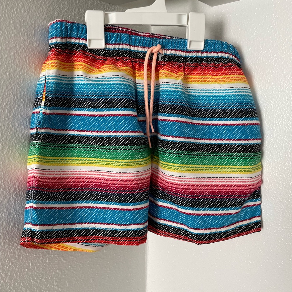 chubbies Vibrant Multicolor Striped Hybrid Shorts